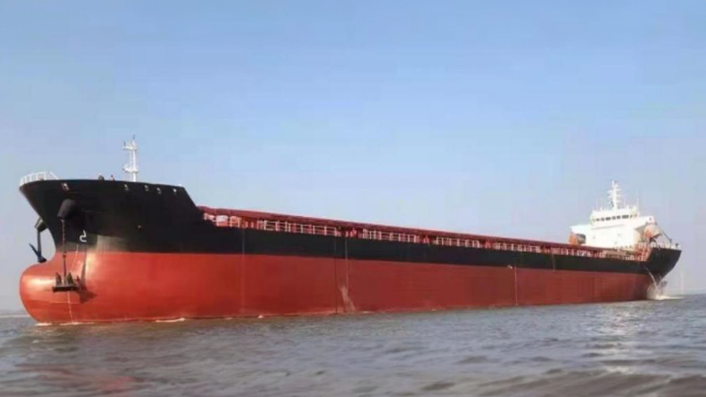 Bulk Carrier